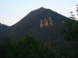 2013-07-20_Regina-F-Rau_Kochel-Rabenkopf (618).JPG